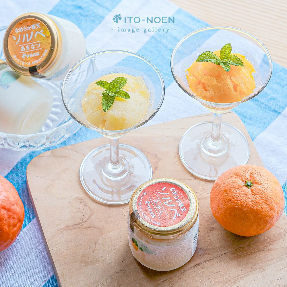 【父の日プレゼント・ギフト2024】【父の日オリジナル包装】【メッセージカード付】なめらか寒天ソルベ 85g(みかんソルベ他3種)× 6個・8個・15個