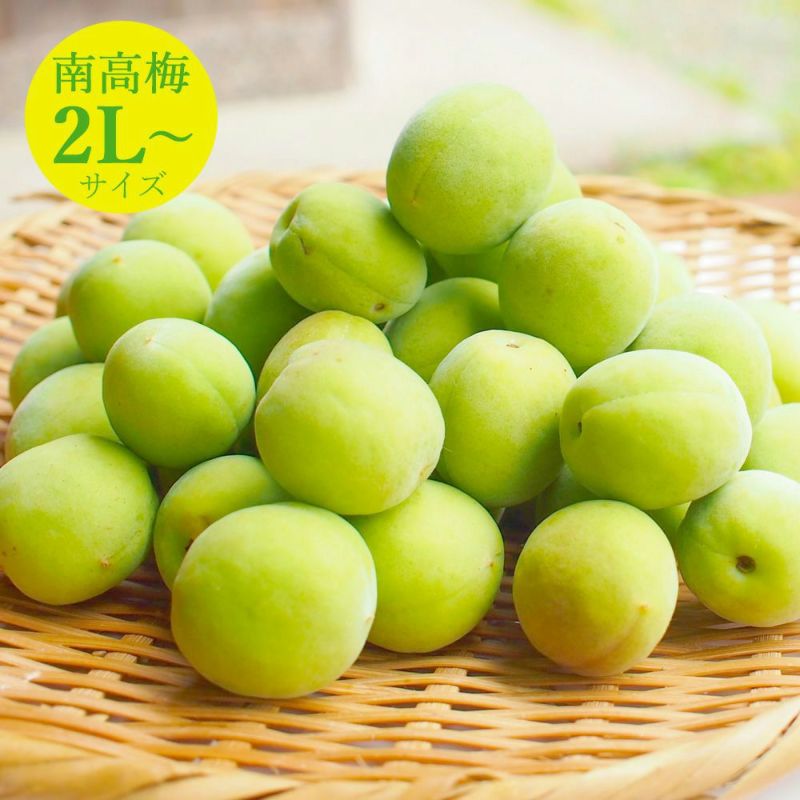 南高梅(青梅・黄梅混合2Lサイズ)3kg