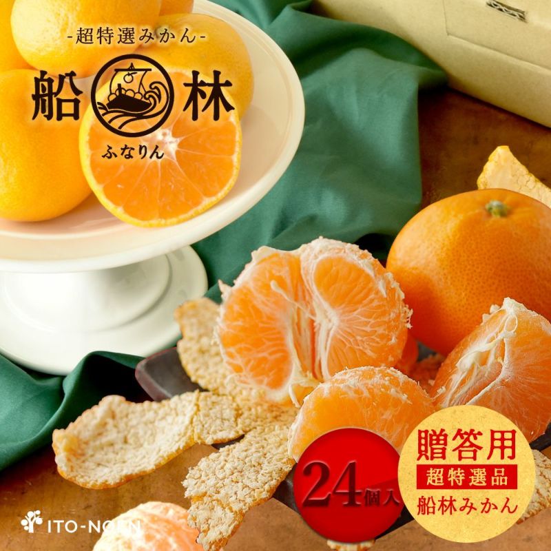 みかんリクエスト 1点 まとめ商品 みかんリクエスト 1点 まとめ商品 みかんリクエスト 1点 まとめ商品