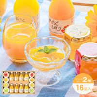 バラエティセット V-045 (みかんジュース他バラエティセット)