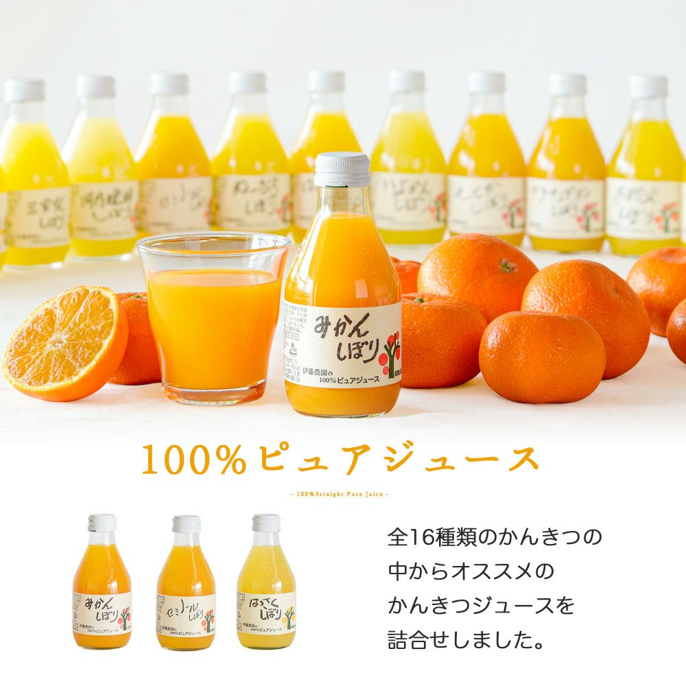 バラエティセット V-045 (みかんジュース他バラエティセット)