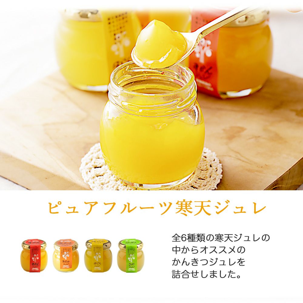 バラエティセット V-045 (みかんジュース他バラエティセット)