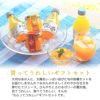 バラエティセット V-045 (みかんジュース他バラエティセット)