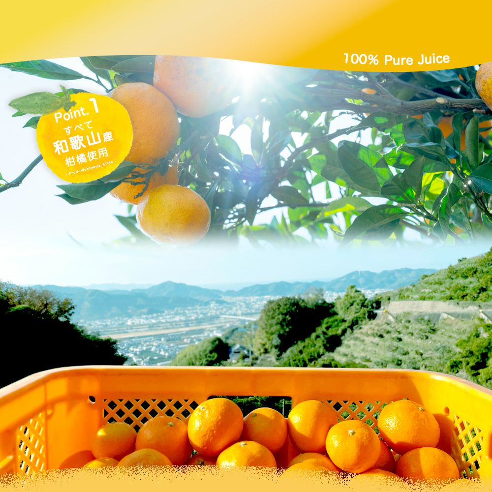みかんジュース(100%ピュアジュース750ml みかんしぼり)