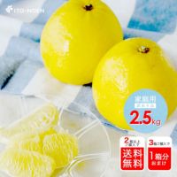 河内晩柑【家庭用(訳あり品)】2.5kg