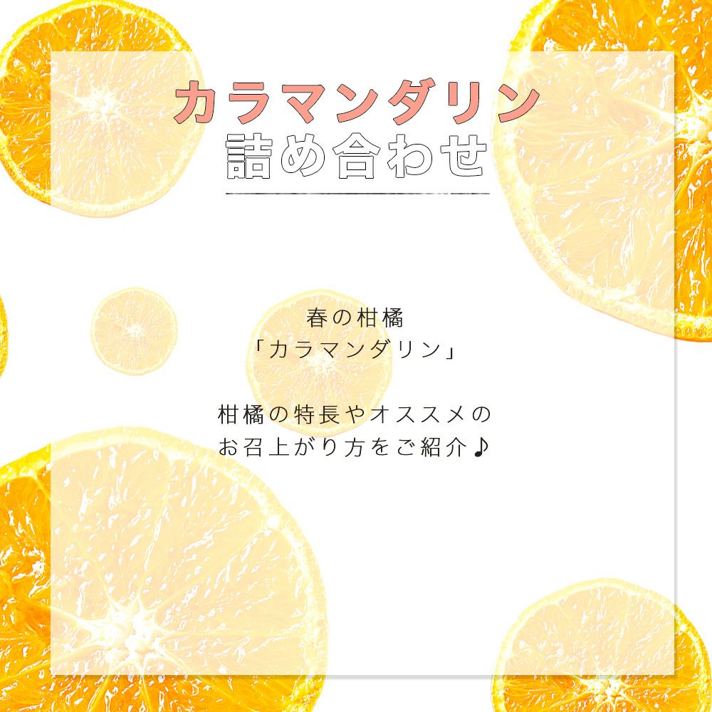 カラマンダリン【家庭用(訳あり品)】2.5kg