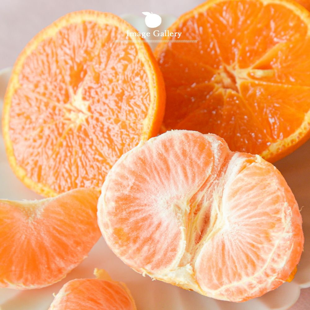 カラマンダリン【家庭用(訳あり品)】2.5kg