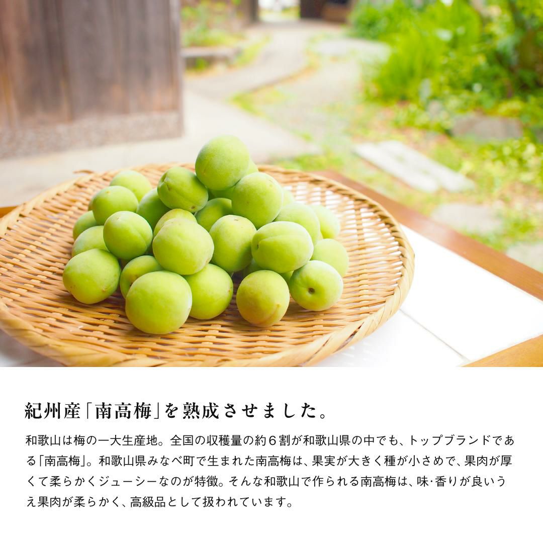 【南高梅シロップ】うめぴゅあシロップ500ml×6本