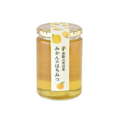 000000000562-01-m.jpg?t=