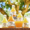 【母の日ギフト】100%ピュアジュース 180ml(みかんジュース他オススメセット)×8本