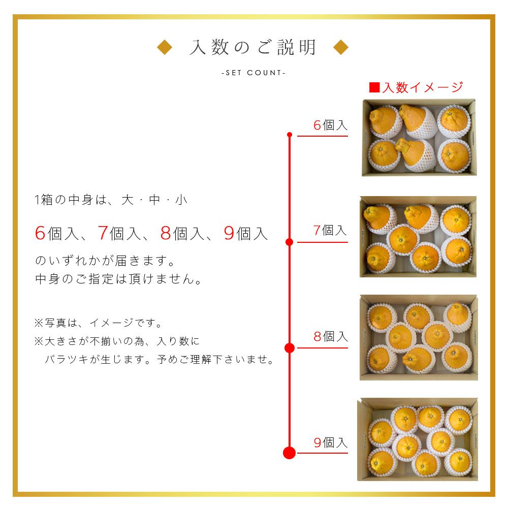伊藤農園 認定農家さんの完熟 木成り 特選不知火(デコポン)6～8個入り