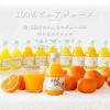 バラエティセット(100%ピュアジュース180ml×4本・パックジュレ4個)V-175 (みかんジュース他バラエティセット)