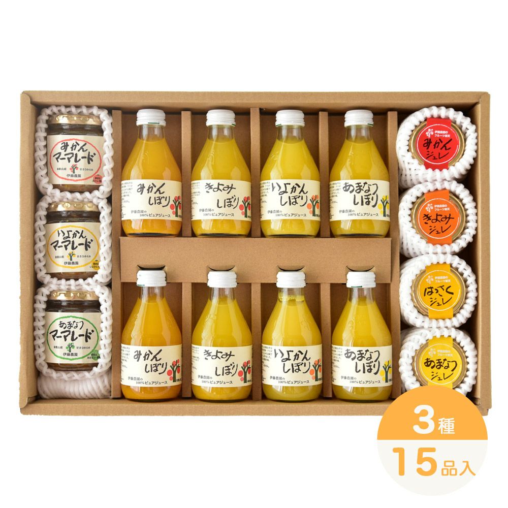 バラエティセット V-016 (みかんジュース バラエティセット)