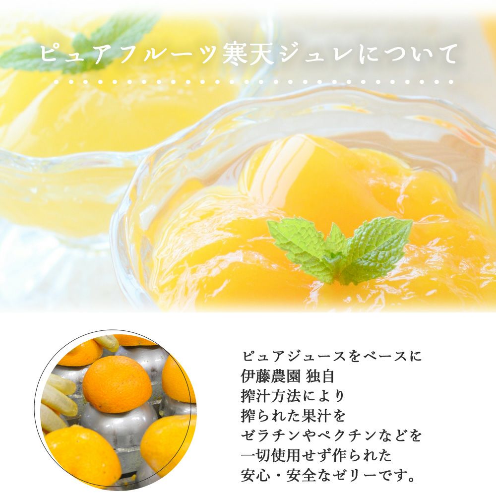 バラエティセット V-016 (みかんジュース バラエティセット)