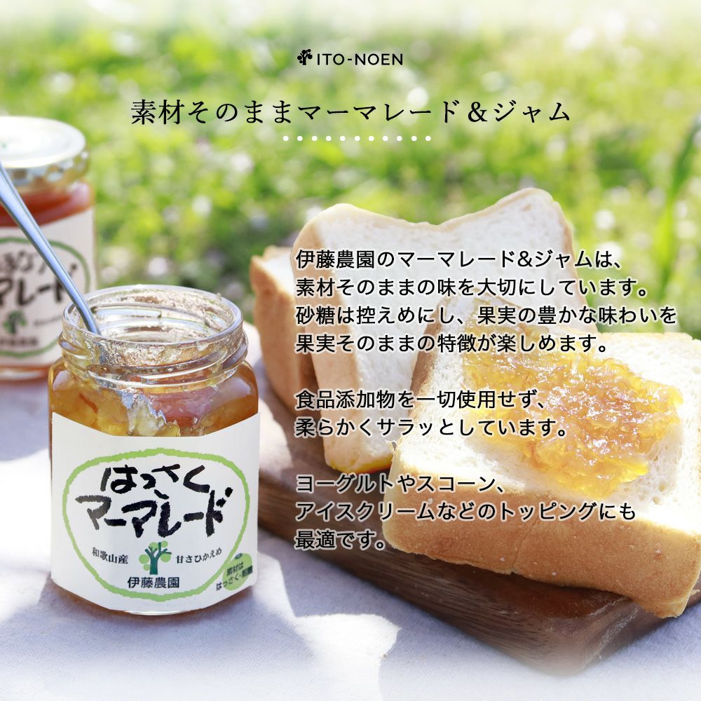 バラエティセット V-016 (みかんジュース バラエティセット)