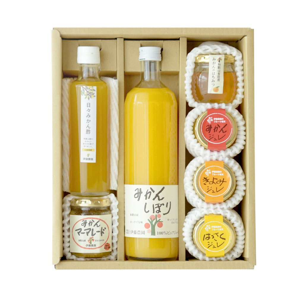 バラエティセット V-016 (みかんジュース バラエティセット)