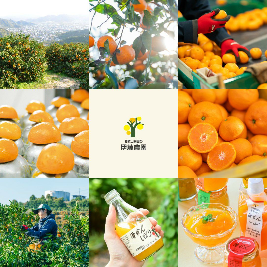 みかん七味 (缶入り1個)