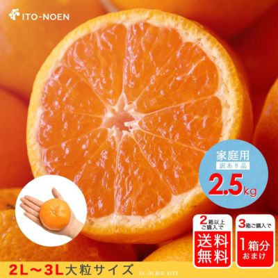 減農薬 有田 みかん 20kg 和歌山 甘い 美味 20キロ 家庭用 000000000685-01-m.jpg?t=