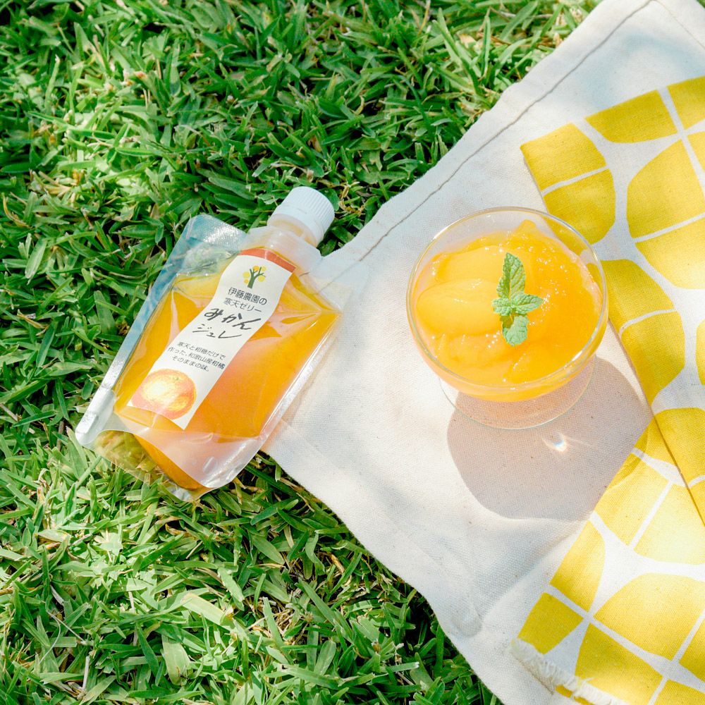 【初回限定】バラエティセット(100%ピュアジュース180ml×4本・パックジュレ4個) V-143