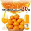 【母の日ギフト2024】100%ピュアジュース750ml (みかんジュース他オススメセット)×2本入セット(花・ﾒｯｾｰｼﾞｶｰﾄﾞ付)