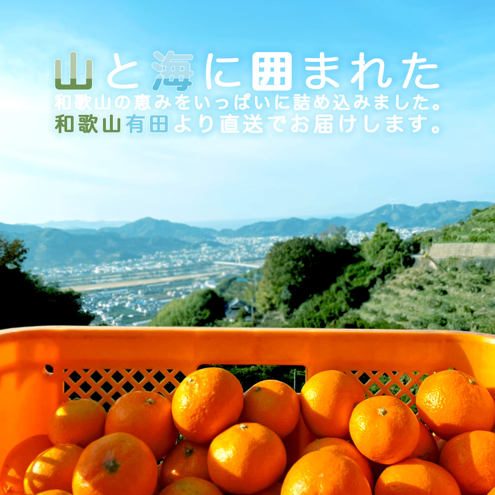 【父の日オリジナル包装】バラエティセット(100%ピュアジュース180ml×4本・寒天ゼリードリンクタイプ×4個) (みかんジュース・ゼリーセット)