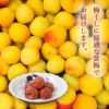 】伊藤農園の南高梅(黄梅ss～2L以上サイズ)3kg