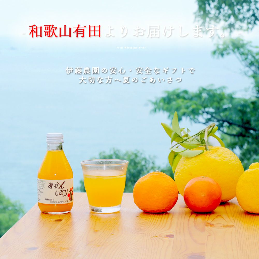 寒天ゼリー90g(みかんゼリー他5種オススメセット)×12個 風呂敷付セット
