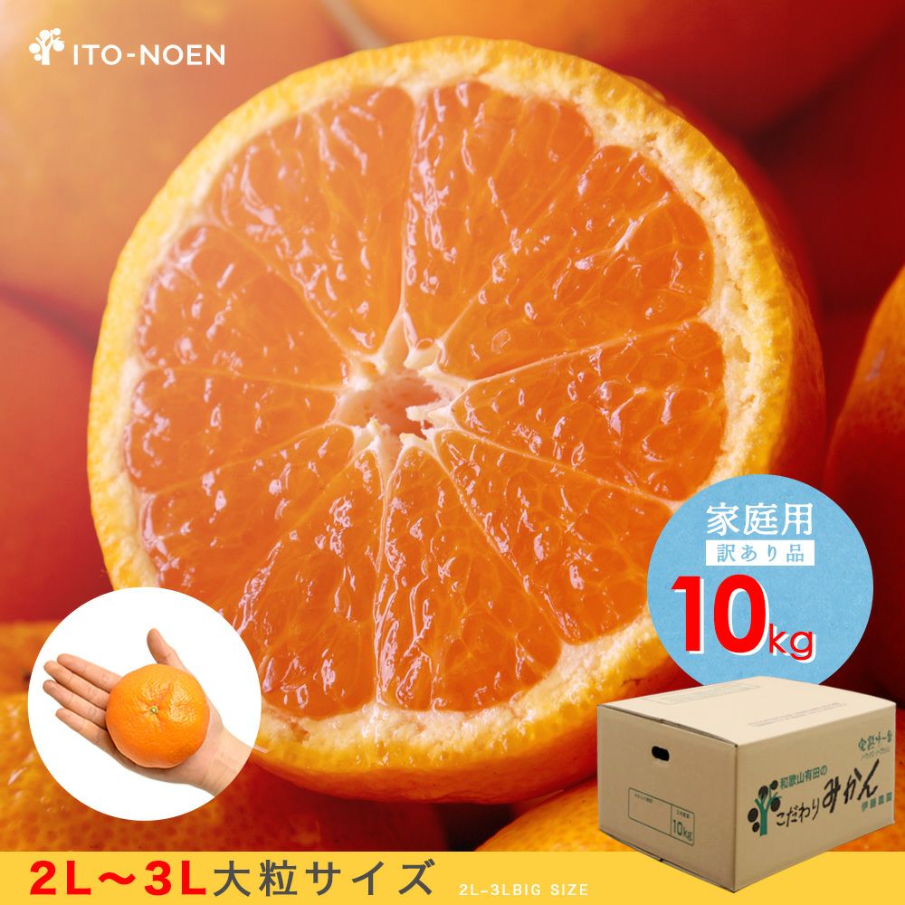 みかん大粒サイズ【家庭用(訳あり品)】[5kg・10kg] 訳ありみかん 2L～3Lサイズ
