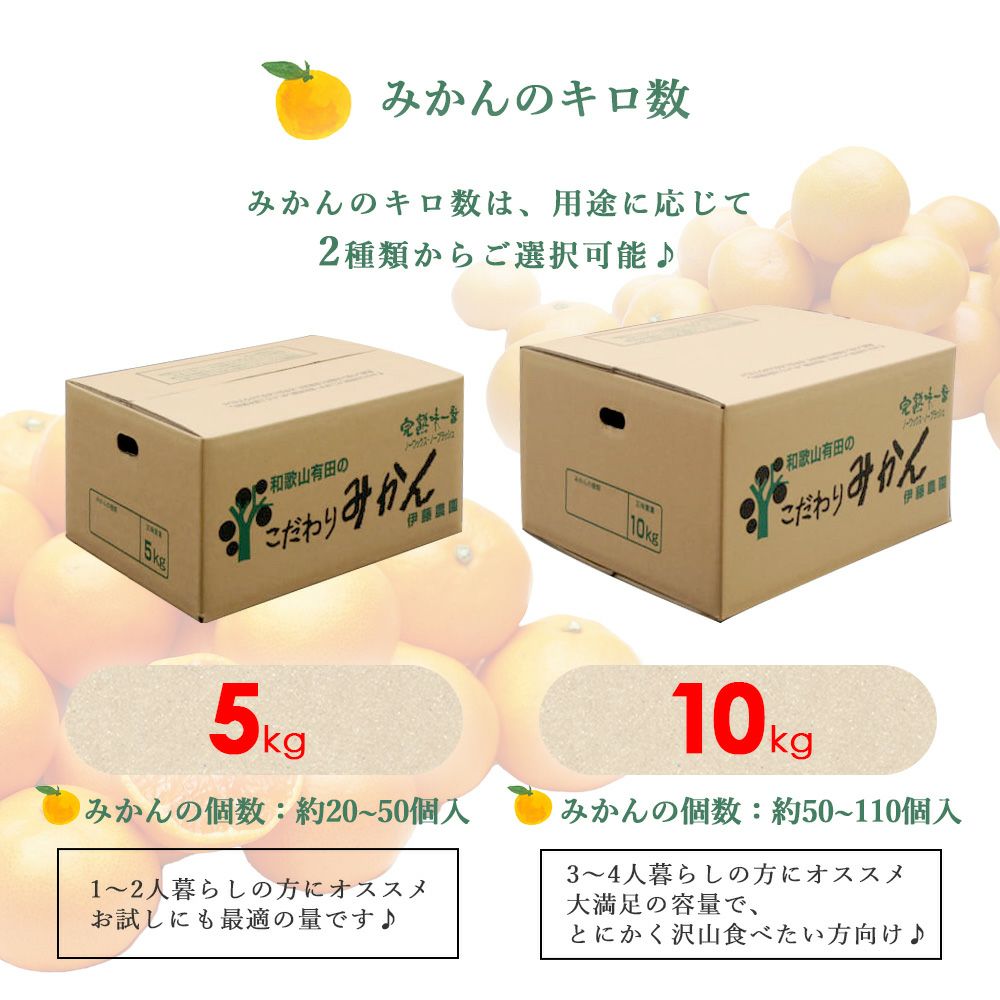 甘夏みかん 訳アリ Lサイズ １０Kg箱込み 国産品 - 果物