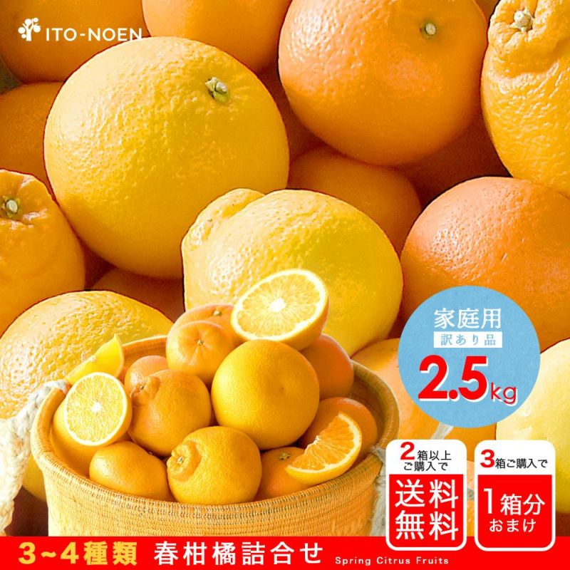 春かんきつお楽しみ箱【家庭用(訳あり)】2.5kg(3～4種類の春かんきつ詰め合せ)