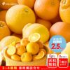 春かんきつお楽しみ箱【家庭用(訳あり)】2.5kg(3～4種類の春かんきつ詰め合せ)