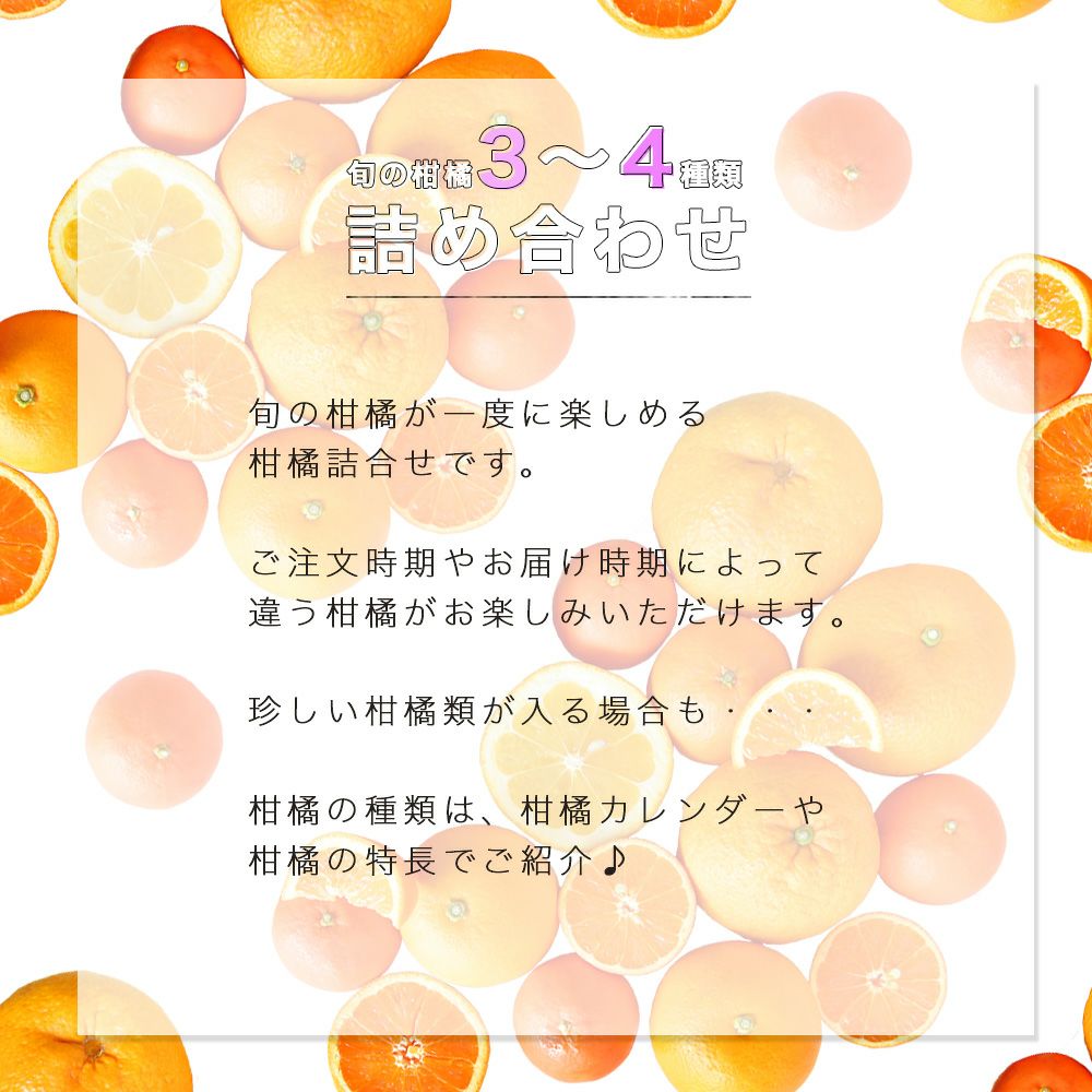 春かんきつお楽しみ箱【家庭用(訳あり)】2.5kg(3～4種類の春かんきつ詰め合せ)