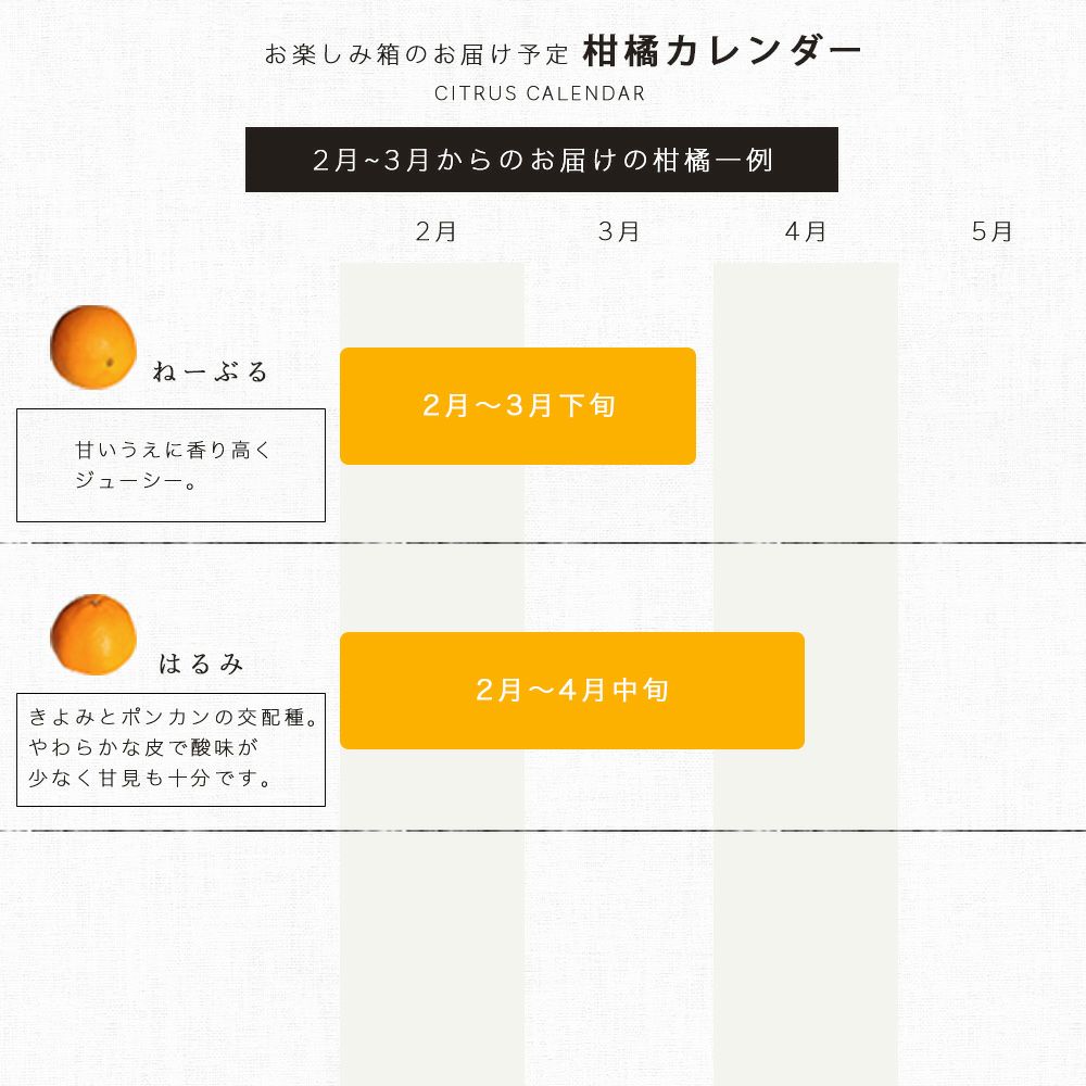 春季限定○順次発送中】春かんきつお楽しみ箱【家庭用(訳あり