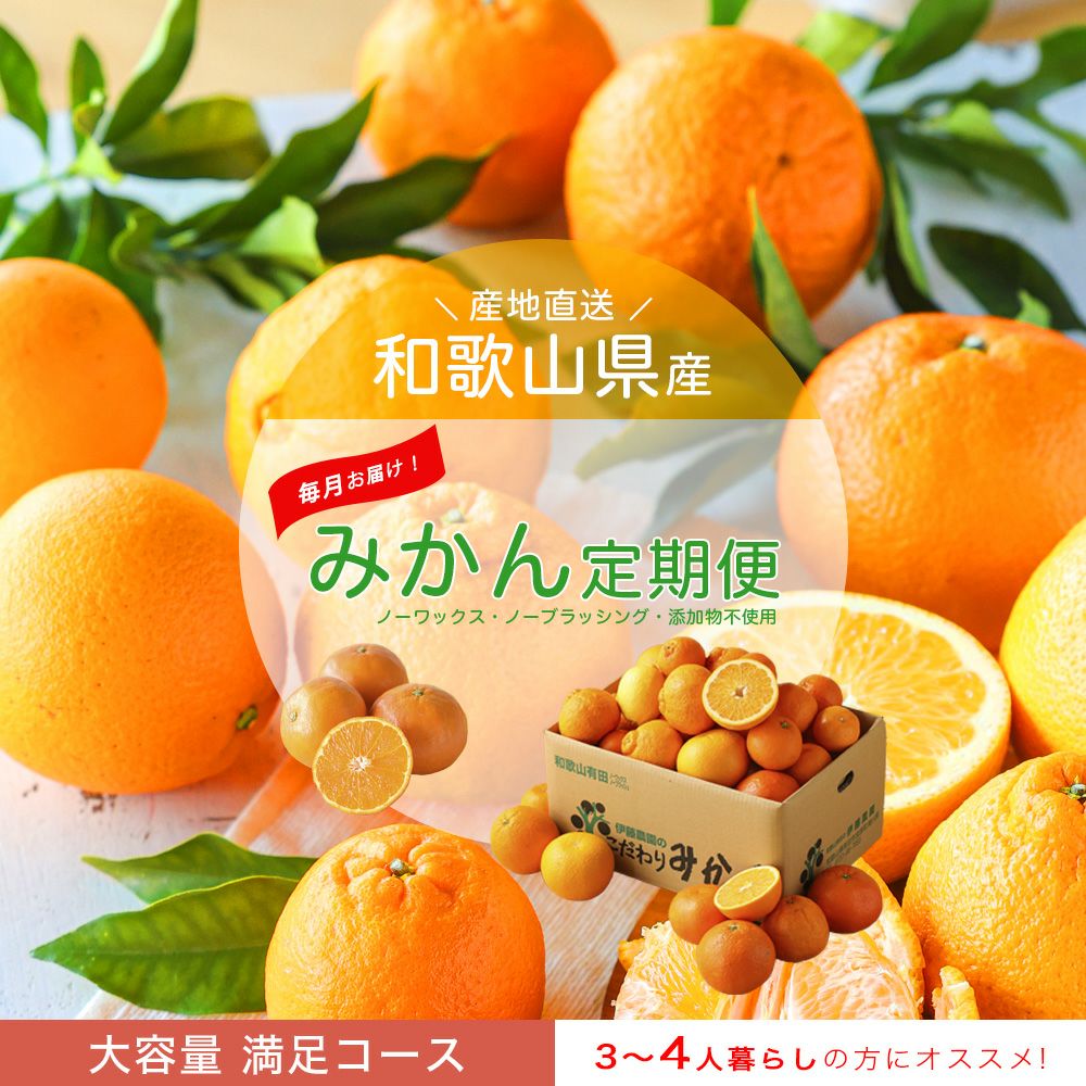 【送料無料】みかん・柑橘の定期便(大容量 満足コース)