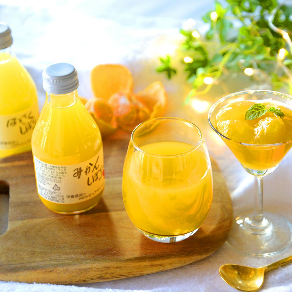 【送料無料】みかん・柑橘の定期便(大容量 満足コース)