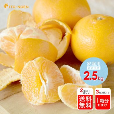 はるみ|Harumi | 有田みかん・和歌山県産柑橘の青果、加工品