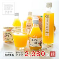 お試しきくちゃんセット(みかんジュース・みかんゼリー・はっさくマーマレード他8点入)