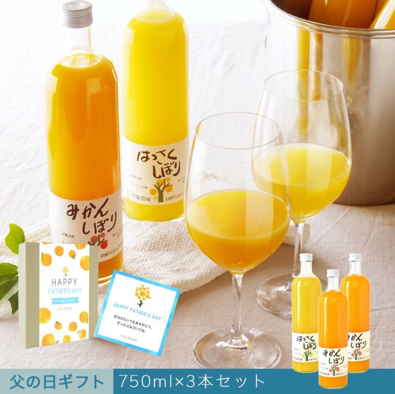 【父の日プレゼント・ギフト2024】100%ピュアジュース750ml (みかんジュース他オススメセット)×3本セット