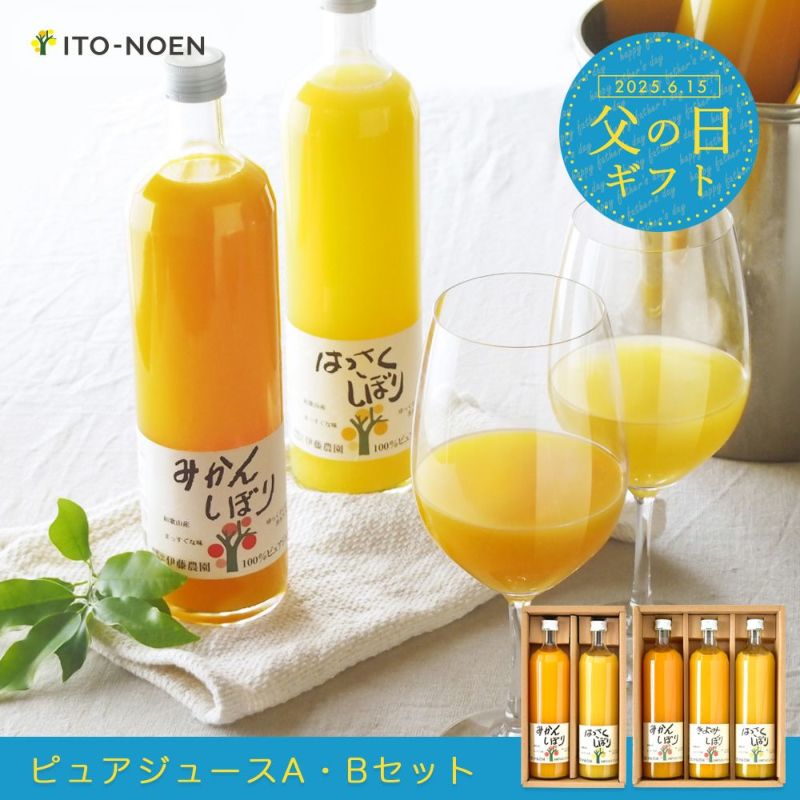 【父の日プレゼント・ギフト2024】100%ピュアジュース750ml (みかんジュース他オススメセット)×3本セット