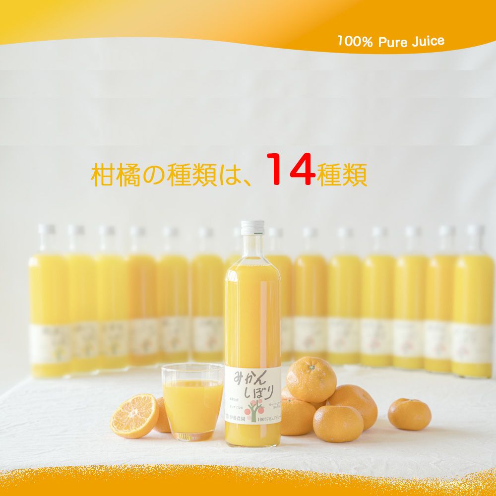 【父の日プレゼント・ギフト2024】100%ピュアジュース750ml (みかんジュース他オススメセット)×3本セット