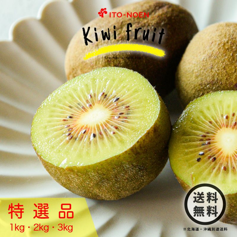 キウイ|Kiwi | 有田みかん・和歌山県産柑橘の青果、加工品、販売 柑橘