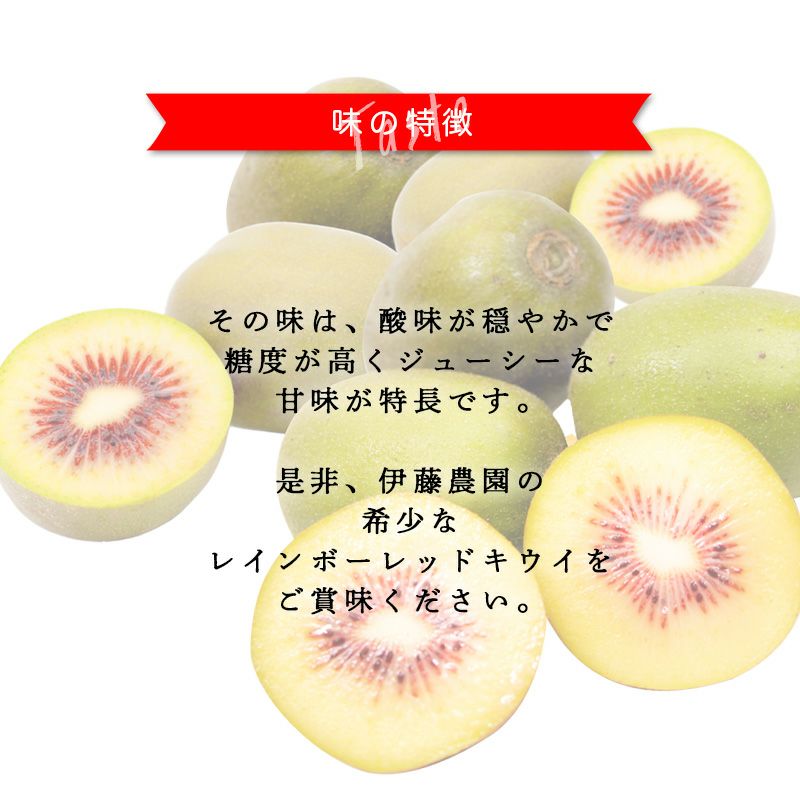 特選キウイ［レインボーレッド］