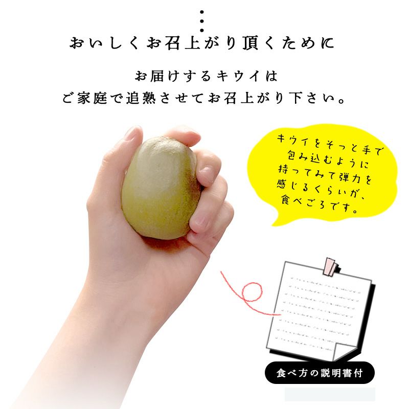 特選キウイ［レインボーレッド］