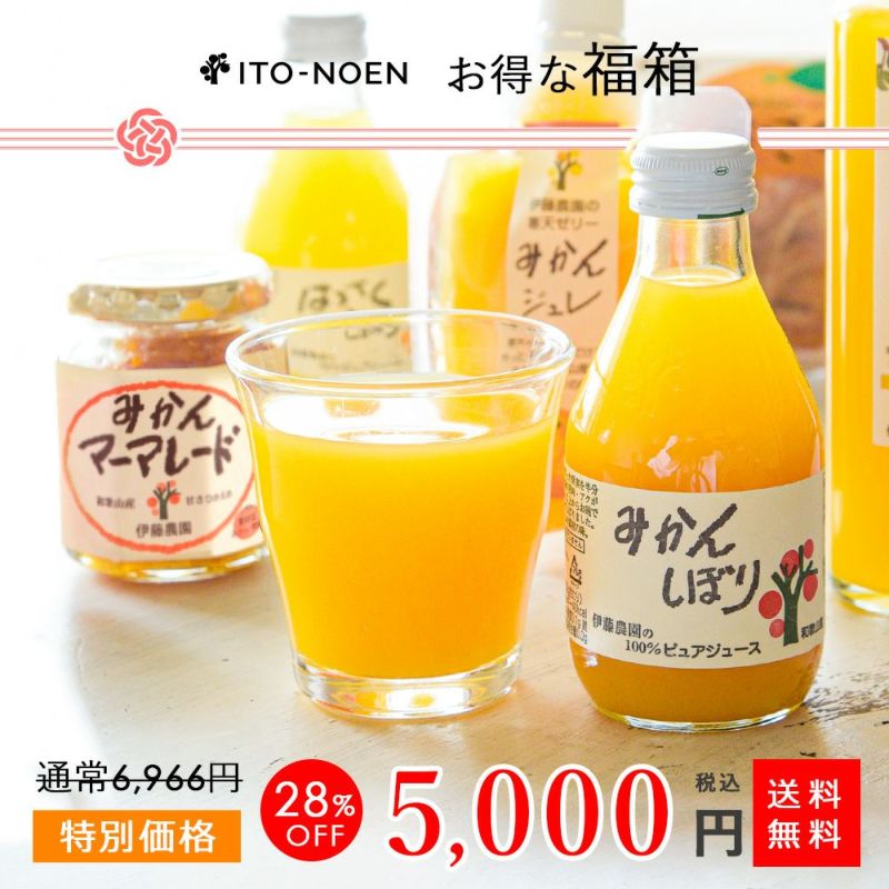 数量限定 100箱 福箱【全10種15品入】福袋 ギフト(人気のみかんジュース他バラエティセット)