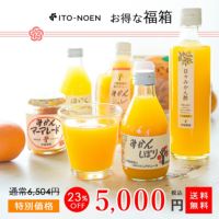 数量限定 100箱 福箱【全10種15品入】福袋 ギフト(人気のみかんジュース他バラエティセット)