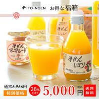 数量限定 100箱 福箱【全10種15品入】福袋 ギフト(人気のみかんジュース他バラエティセット)
