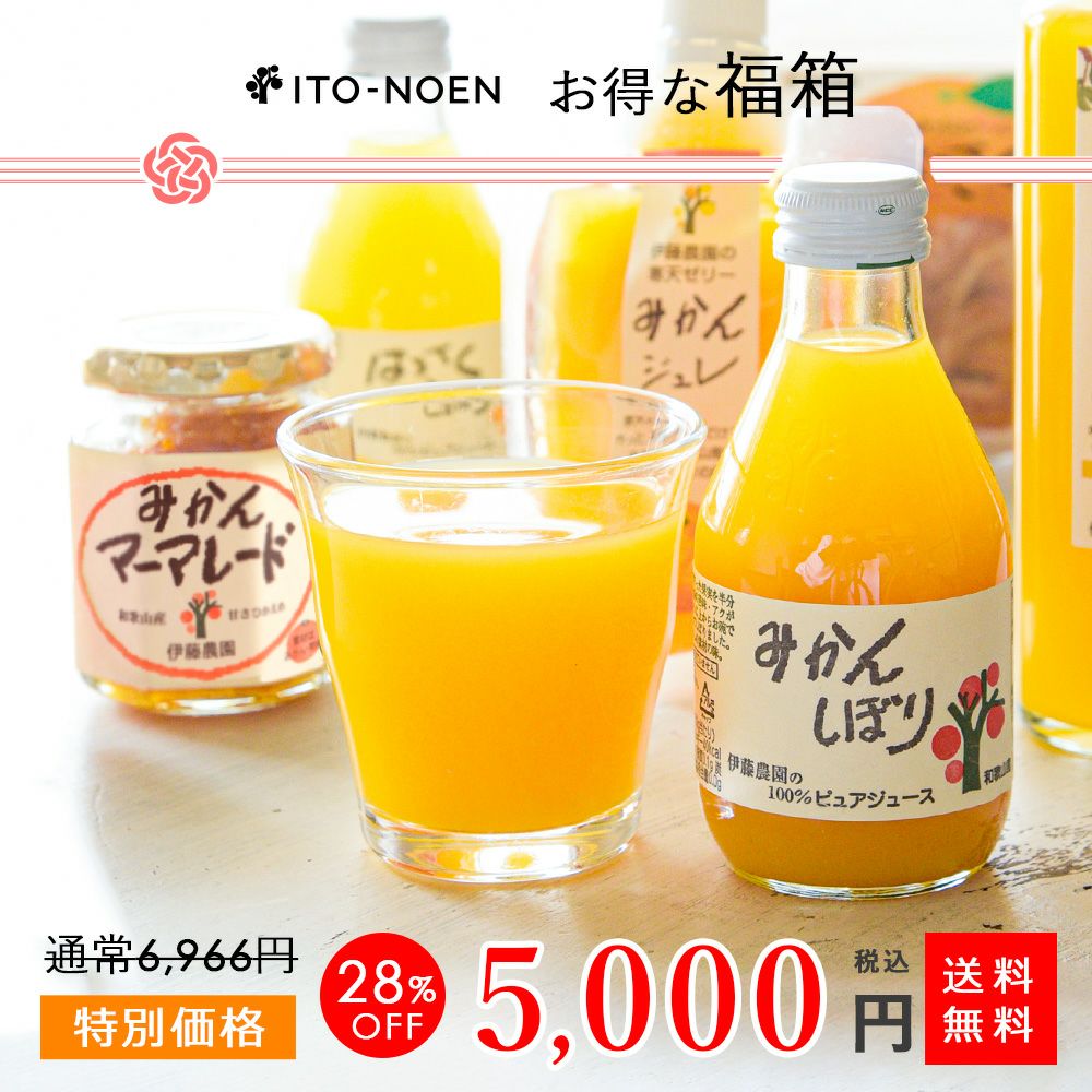 数量限定 100箱 福箱【全10種15品入】福袋 ギフト(人気のみかんジュース他バラエティセット)