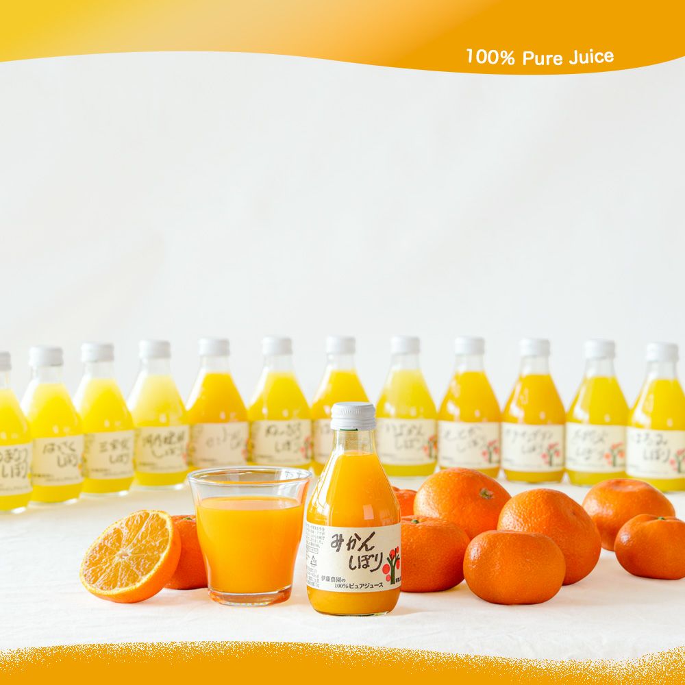 数量限定 100箱 福箱【全10種15品入】福袋 ギフト(人気のみかんジュース他バラエティセット)