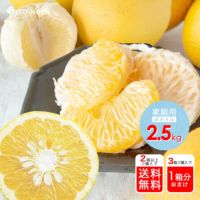 【春季限定】八朔(はっさく)【家庭用(訳あり品)】