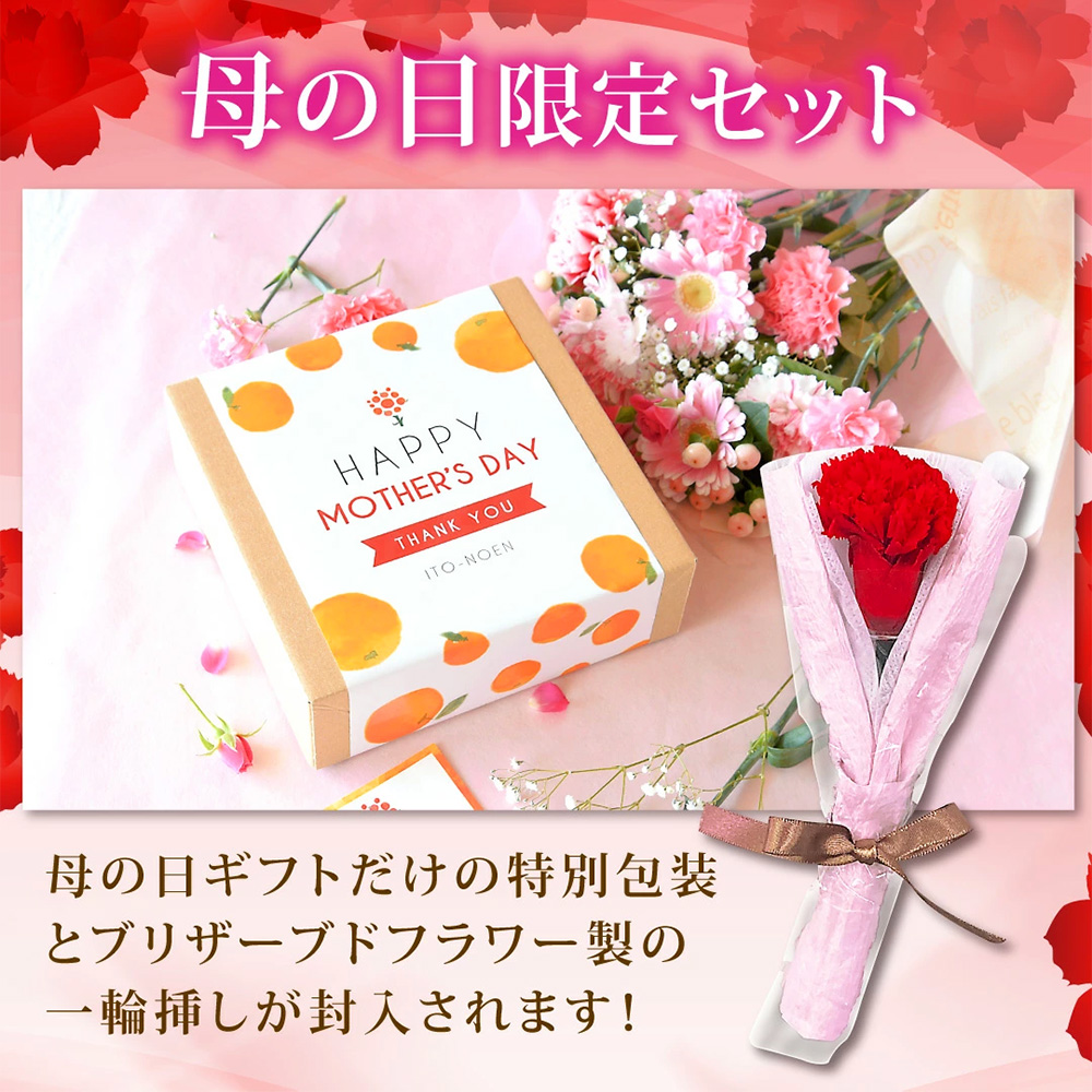 【母の日ギフト2024】100%ピュアジュース750ml (みかんジュース)×1本入(花・ﾒｯｾｰｼﾞｶｰﾄﾞ付)